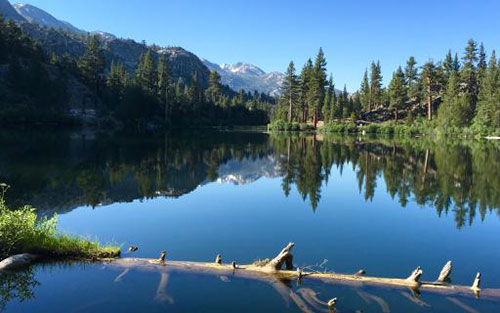 Roosevelt Lake